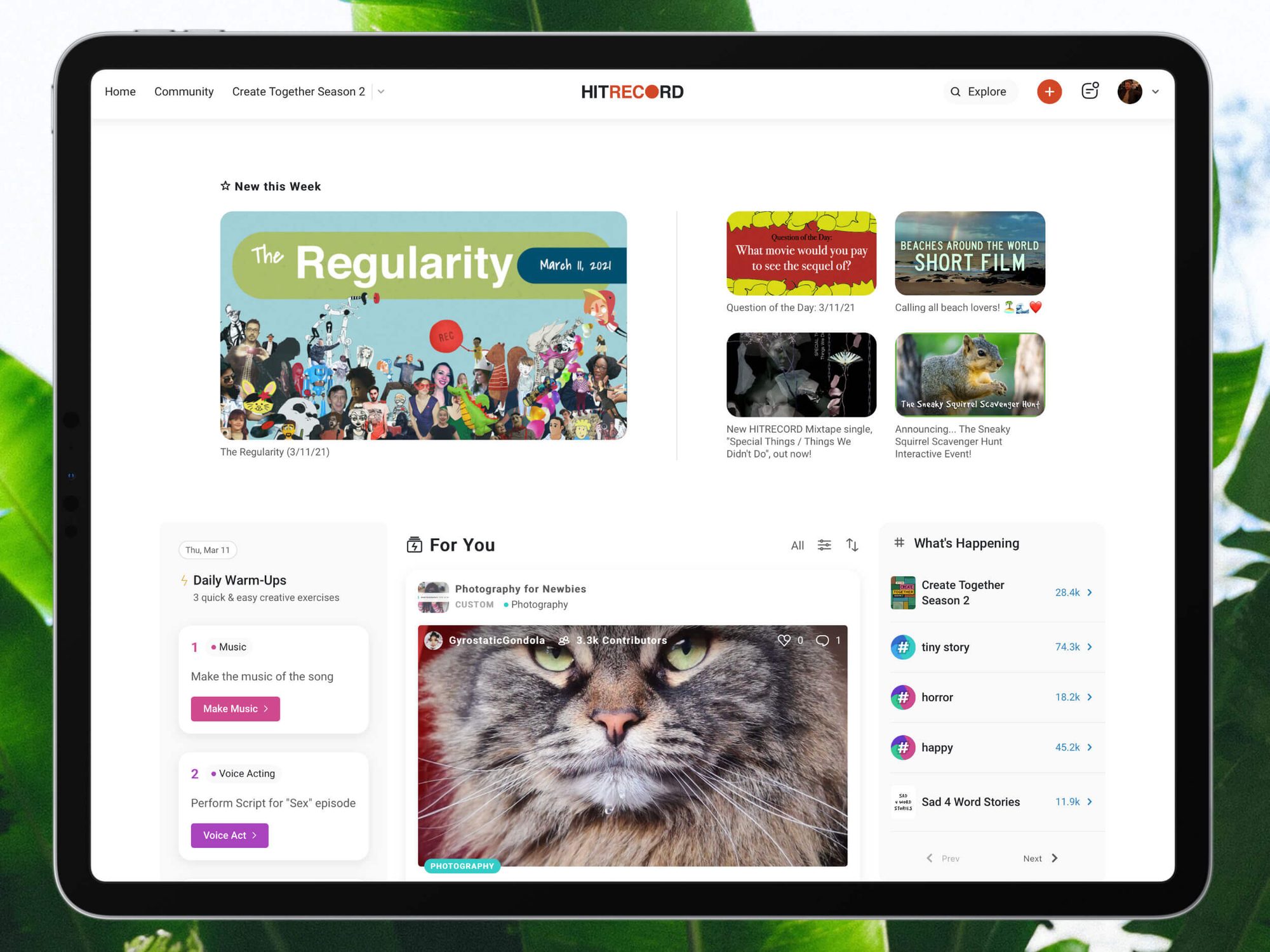 HITRECORD web home on a tablet: new this week, Daily Warm-Ups, a For You feed and trending projects